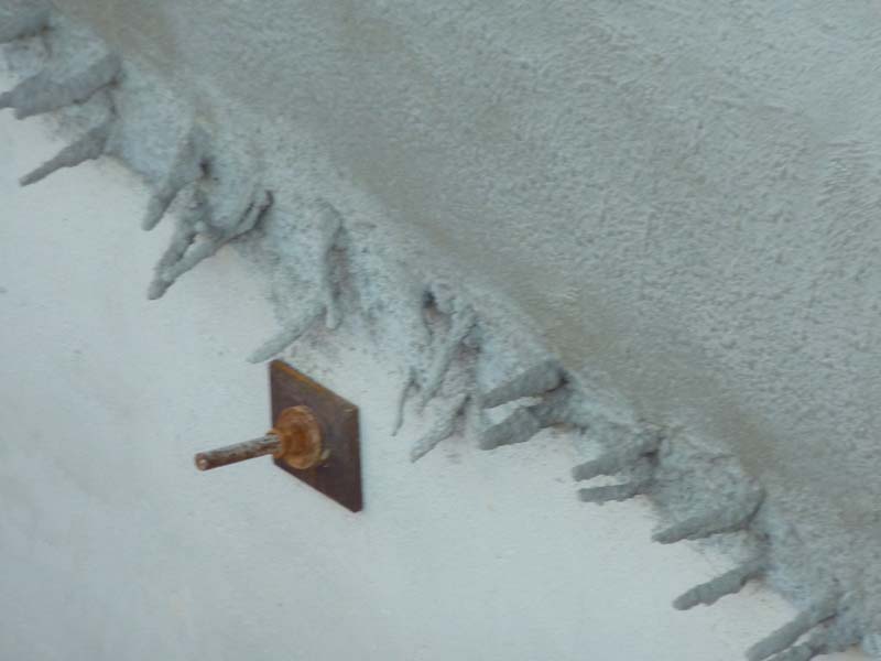20110124_092950