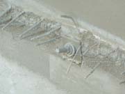 20110124_092940_belles_ecuelles_chantiers